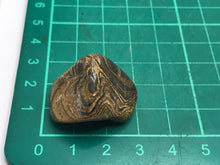 Load image into Gallery viewer, Stromatolite pebble

