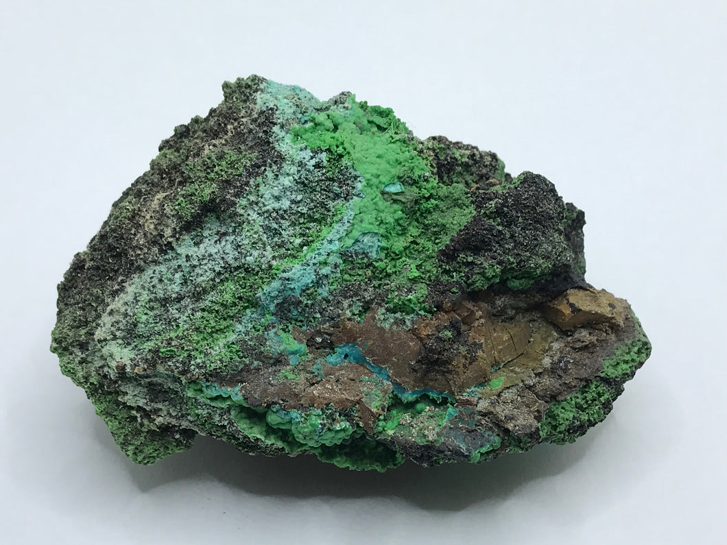 Conichalcite With Chrysocolla