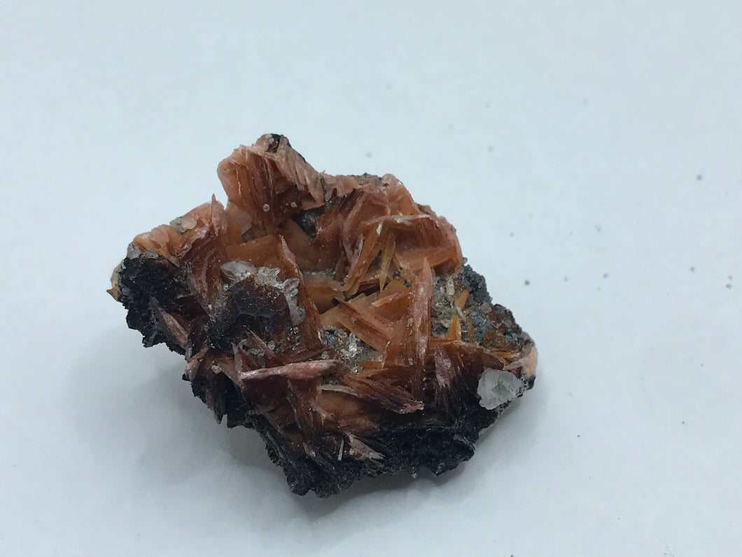 Baryte and cerussite