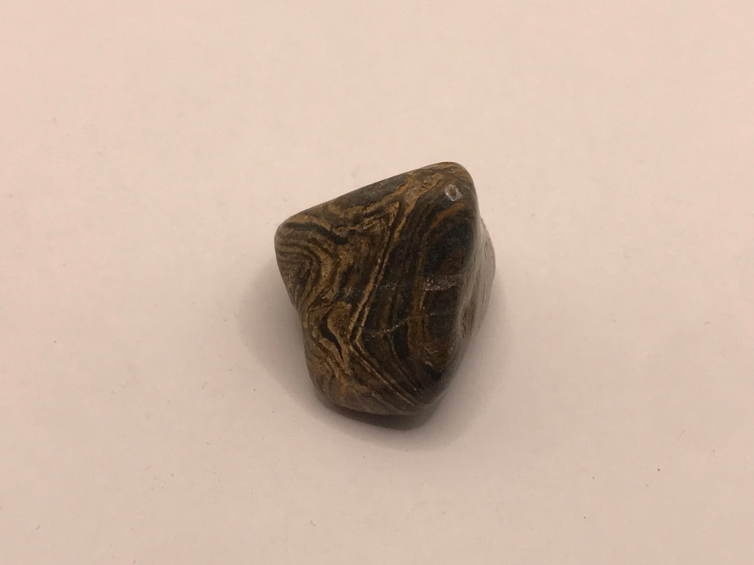 Stromatolite pebble