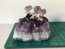 Load image into Gallery viewer, Amethyst Cluster With Branch
