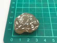 Load image into Gallery viewer, Snakeskin agate
