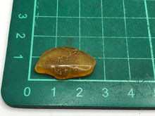 Load image into Gallery viewer, Amber
