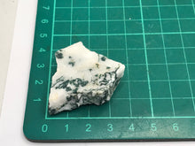 Load image into Gallery viewer, Tree agate
