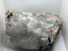 Load image into Gallery viewer, Aquamarine in Quartz
