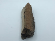 Load image into Gallery viewer, Mammoth bone
