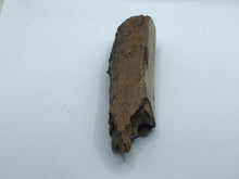 Load image into Gallery viewer, Mammoth bone
