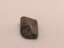Load image into Gallery viewer, Stromatolite pebble
