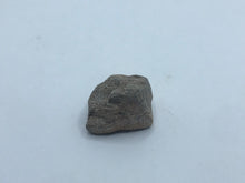 Load image into Gallery viewer, Dinosaur bone chunk

