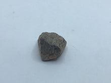 Load image into Gallery viewer, Dinosaur bone chunk
