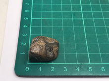 Load image into Gallery viewer, Stromatolite pebble
