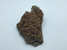 Load image into Gallery viewer, Mammoth bone
