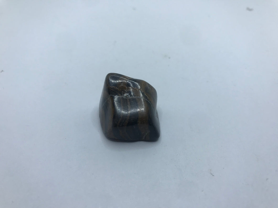 Stromatolite pebble