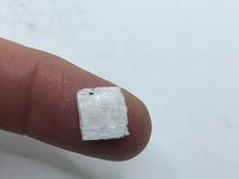 Load image into Gallery viewer, Epididymite
