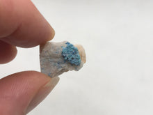 Load image into Gallery viewer, Shattuckite
