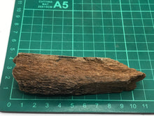 Load image into Gallery viewer, Mammoth bone

