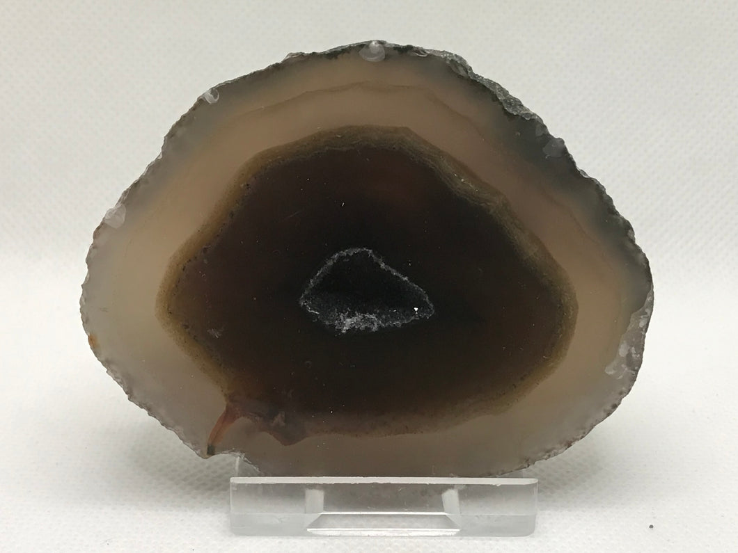 Agate slice