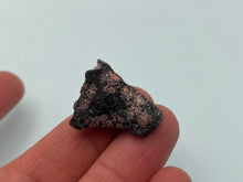 Load image into Gallery viewer, Snowflake obsidian
