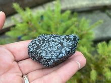 Load image into Gallery viewer, Snowflake obsidian
