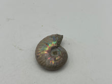 Load image into Gallery viewer, Ammonite fossil aragonite
