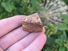 Load image into Gallery viewer, Fossil Jasper
