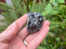 Load image into Gallery viewer, Snowflake obsidian
