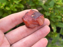 Load image into Gallery viewer, Carnelian
