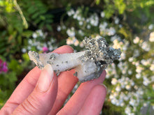 Load image into Gallery viewer, Pyrite,Marcasite and Quartz
