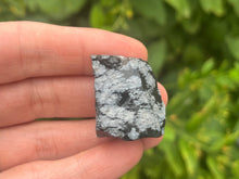 Load image into Gallery viewer, Snowflake obsidian
