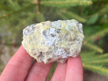 Load image into Gallery viewer, Lizardite
