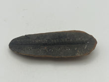 Load image into Gallery viewer, Carboniferous fossil leaf
