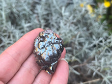 Load image into Gallery viewer, Botryoidal hematite
