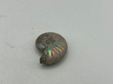 Load image into Gallery viewer, Ammonite fossil aragonite
