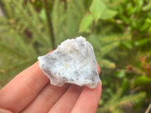 Load image into Gallery viewer, Dendrite opal

