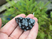 Load image into Gallery viewer, Snowflake obsidian
