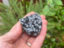 Load image into Gallery viewer, Snowflake obsidian
