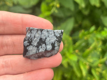 Load image into Gallery viewer, Snowflake obsidian
