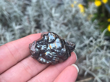 Load image into Gallery viewer, Botryoidal hematite
