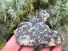 Load image into Gallery viewer, Black Opal
