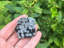 Load image into Gallery viewer, Snowflake obsidian
