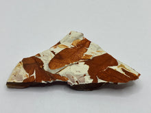 Load image into Gallery viewer, Glossopteris Fossil Fern
