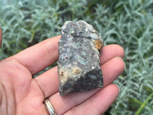 Load image into Gallery viewer, Black Opal
