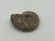 Load image into Gallery viewer, Ammonite fossil aragonite
