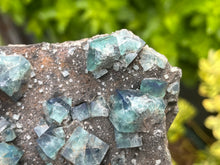 Load image into Gallery viewer, Fluorite
