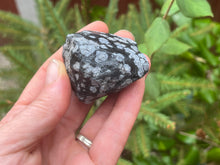 Load image into Gallery viewer, Snowflake obsidian
