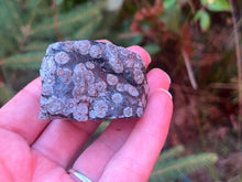 Load image into Gallery viewer, Snowflake obsidian
