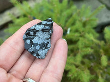 Load image into Gallery viewer, Snowflake obsidian
