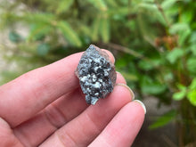 Load image into Gallery viewer, Ramsdellite
