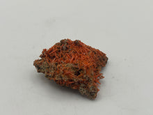Load image into Gallery viewer, Crocoite
