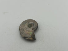 Load image into Gallery viewer, Ammonite fossil aragonite
